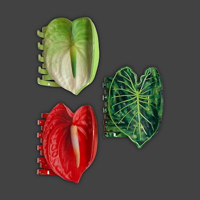 Anthurium Claw Clip                                                        